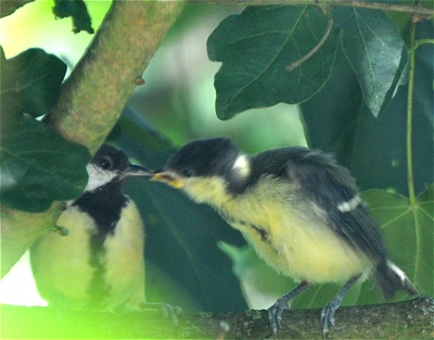 Benutzer&uuml;bermitteltes Bild
