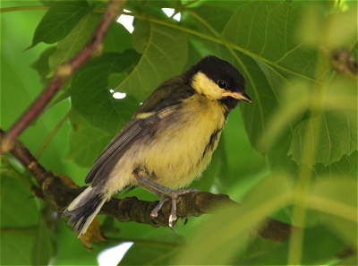 Benutzer&uuml;bermitteltes Bild