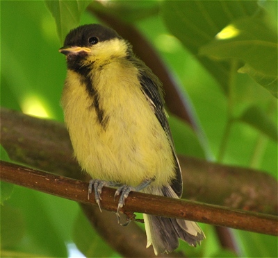 Benutzer&uuml;bermitteltes Bild