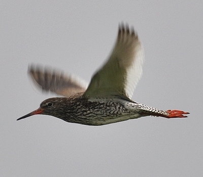 Benutzer&uuml;bermitteltes Bild