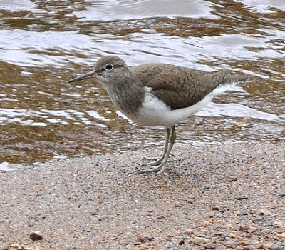 Benutzer&uuml;bermitteltes Bild