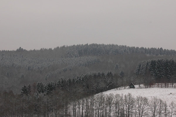Heidenfeld