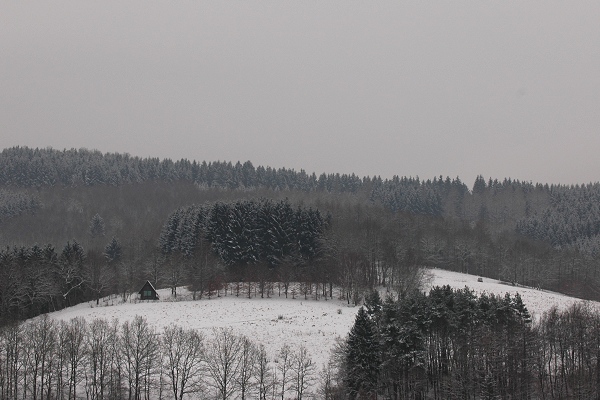 Heidenfeld