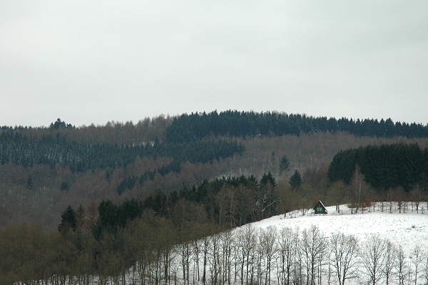 Heidenfeld