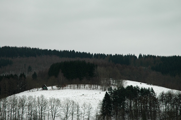 Heidenfeld