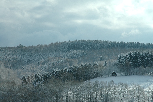 Heidenfeld