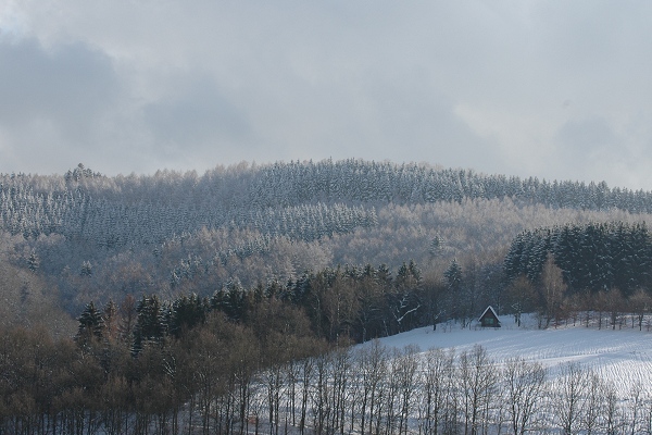 Heidenfeld