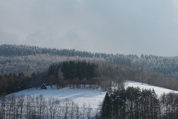Heidenfeld