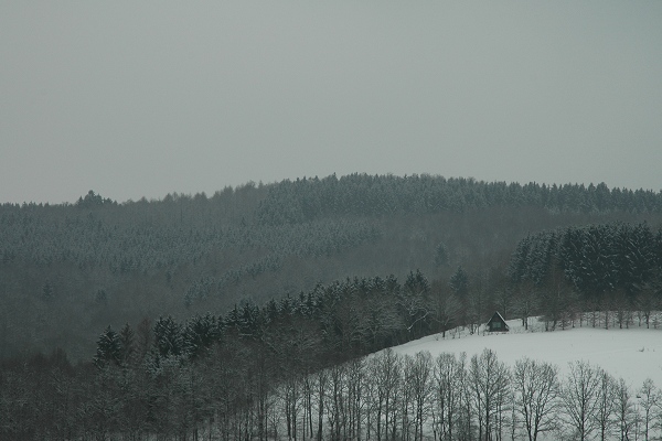 Heidenfeld