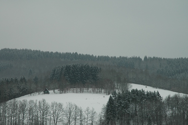 Heidenfeld