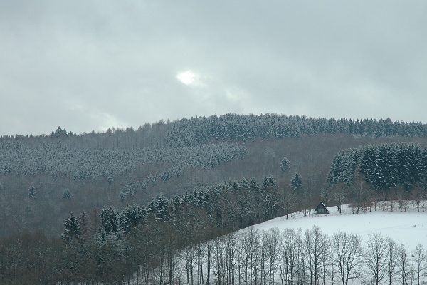 Heidenfeld