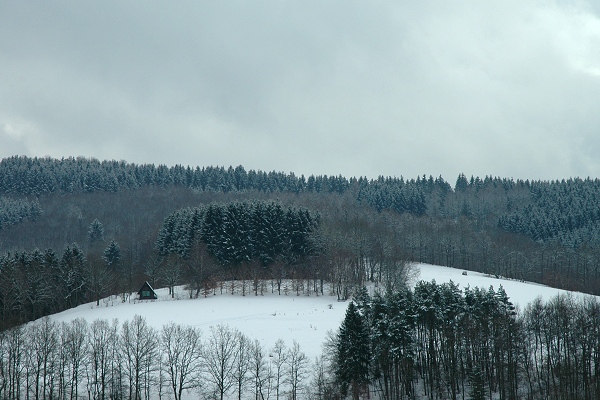 Heidenfeld