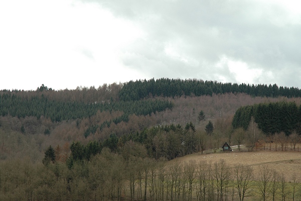 Heidenfeld