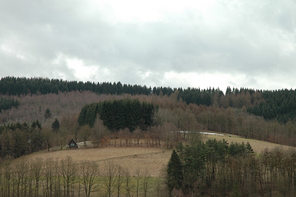 Heidenfeld