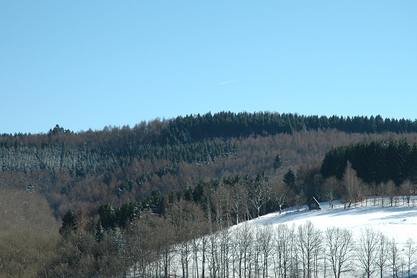Heidenfeld