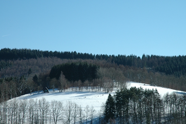 Heidenfeld