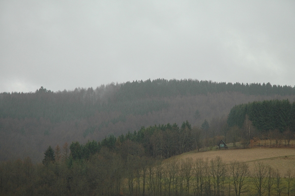 Heidenfeld