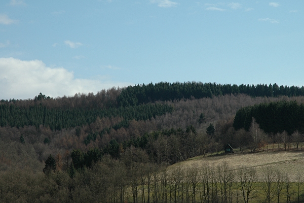 Heidenfeld