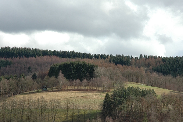 Heidenfeld