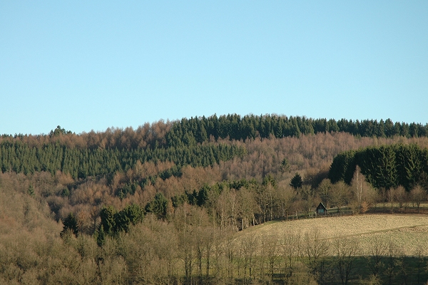 Heidenfeld
