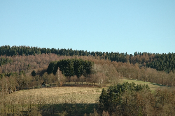 Heidenfeld