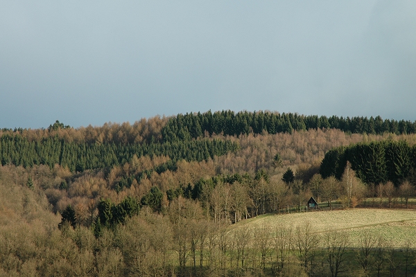 Heidenfeld