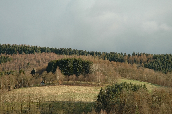 Heidenfeld