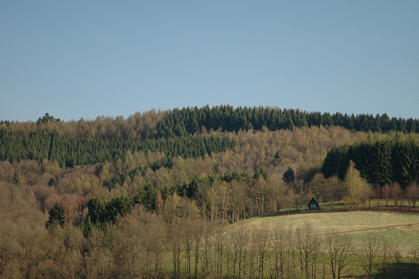 Heidenfeld
