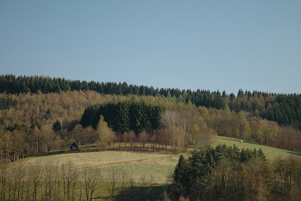 Heidenfeld