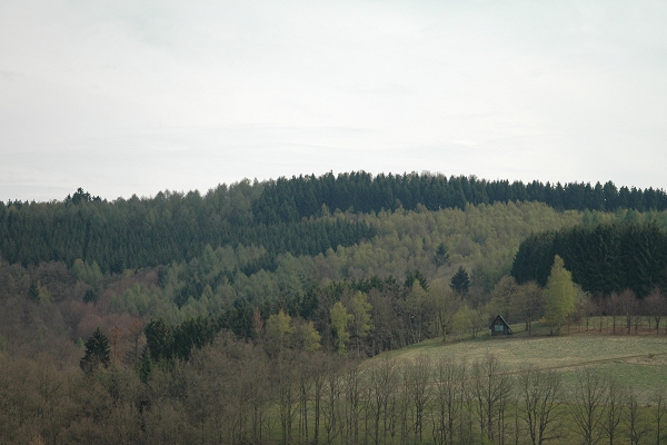 Heidenfeld