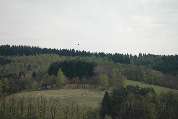 Heidenfeld