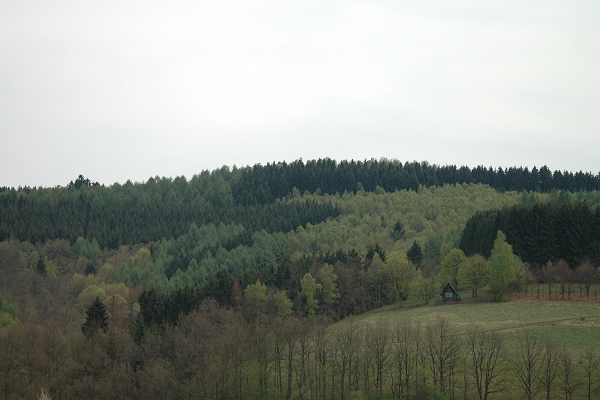 Heidenfeld