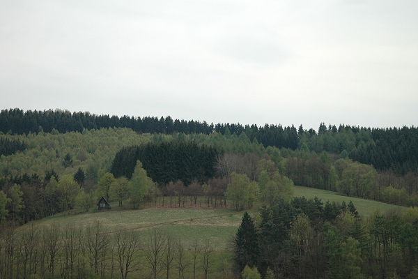 Heidenfeld