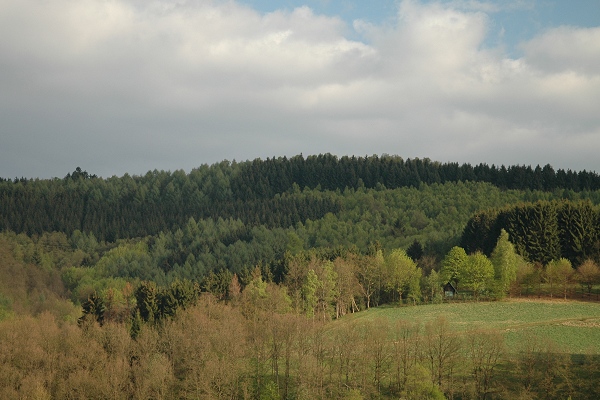 Heidenfeld