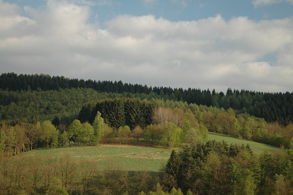 Heidenfeld