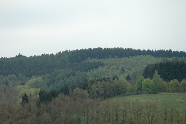 Heidenfeld