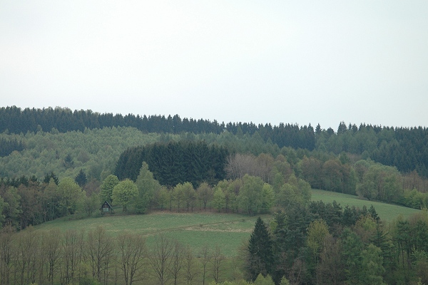Heidenfeld