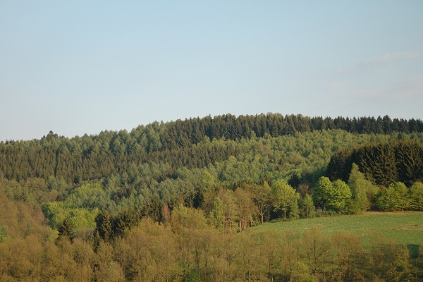 Heidenfeld