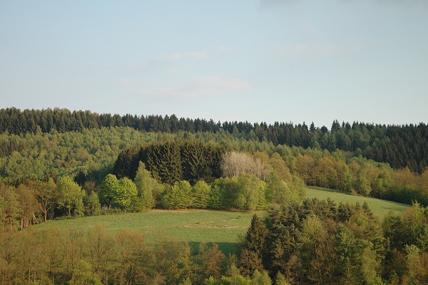 Heidenfeld