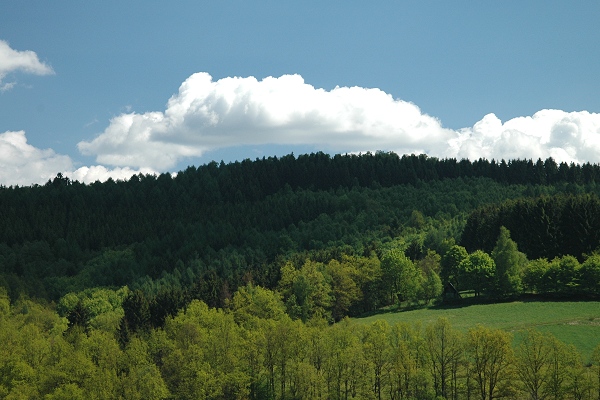 Heidenfeld