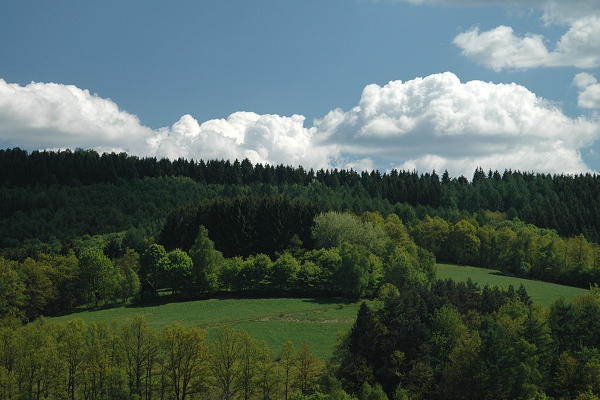 Heidenfeld