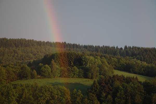 Heidenfeld