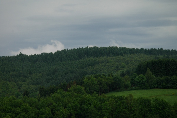 Heidenfeld