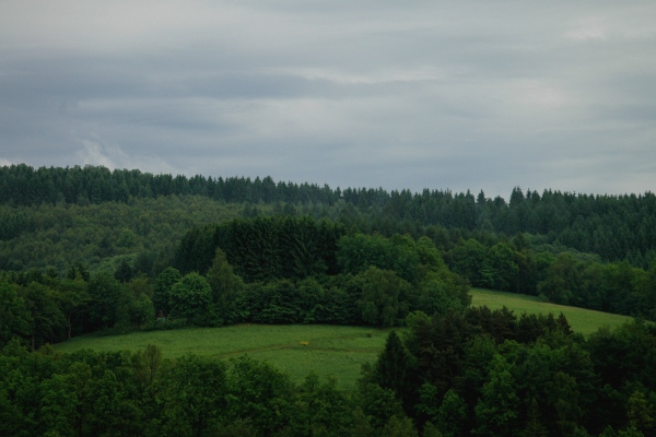 Heidenfeld