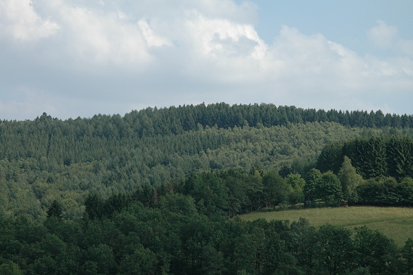 Heidenfeld