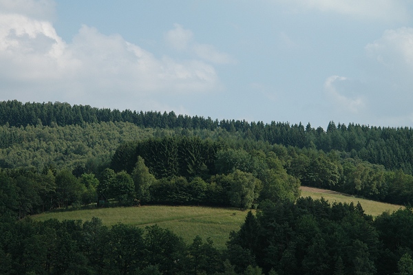Heidenfeld