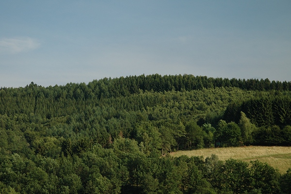 Heidenfeld