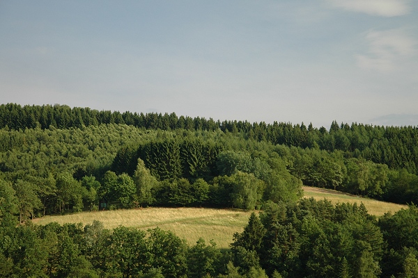 Heidenfeld