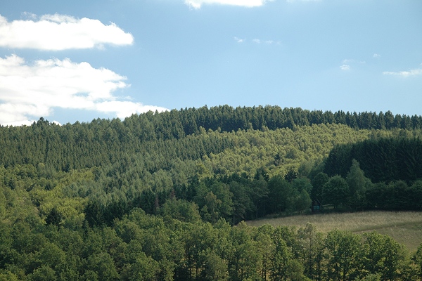 Heidenfeld