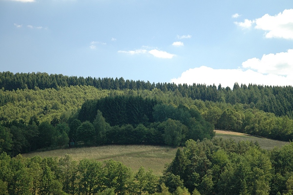 Heidenfeld